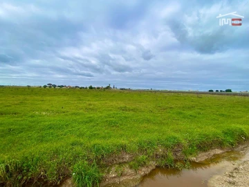 Terreno Agricola ou Rústico para Venda em Poceirão e Marateca