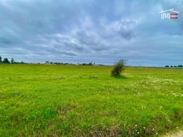 Terreno Agricola ou Rústico para Venda em Poceirão e Marateca
