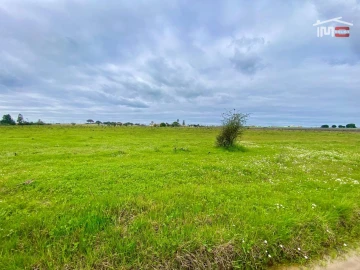 Terreno Agricola ou Rústico para Venda em Poceirão e Marateca