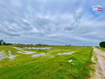 Terreno Agricola ou Rústico para Venda em Poceirão e Marateca