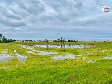 Terreno Agricola ou Rústico para Venda em Poceirão e Marateca