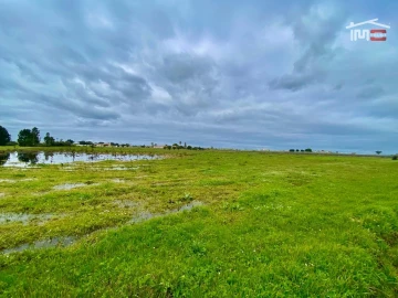 Terreno Agricola ou Rústico para Venda em Poceirão e Marateca