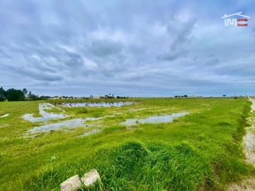 Terreno Agricola ou Rústico para Venda em Poceirão e Marateca
