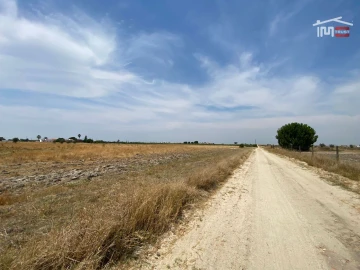 Terreno Agricola ou Rústico para Venda em Poceirão e Marateca