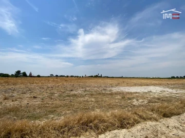 Terreno Agricola ou Rústico para Venda em Poceirão e Marateca