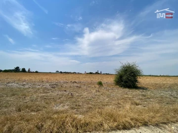 Terreno Agricola ou Rústico para Venda em Poceirão e Marateca