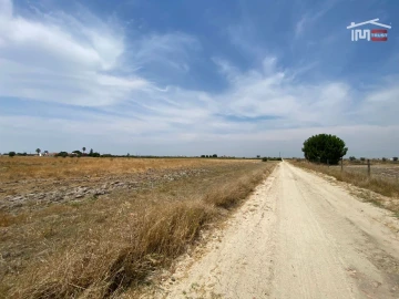 Terreno Agricola ou Rústico para Venda em Poceirão e Marateca