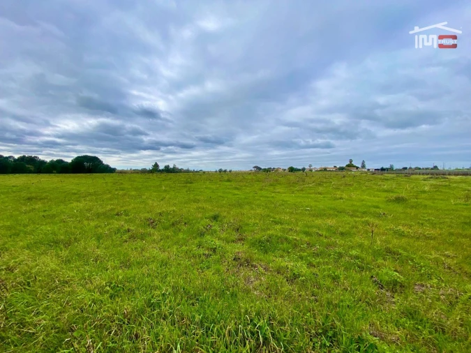 Terreno Agricola ou Rústico para Venda em Poceirão e Marateca Foto 9