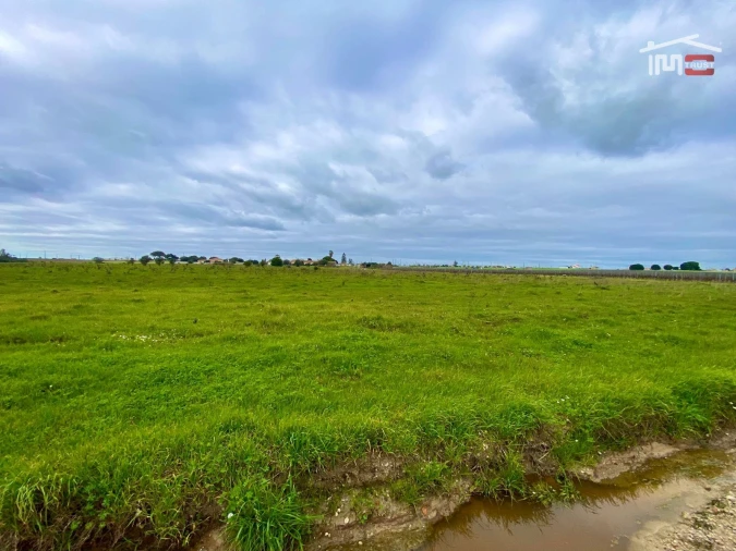 Terreno Agricola ou Rústico para Venda em Poceirão e Marateca Foto 6