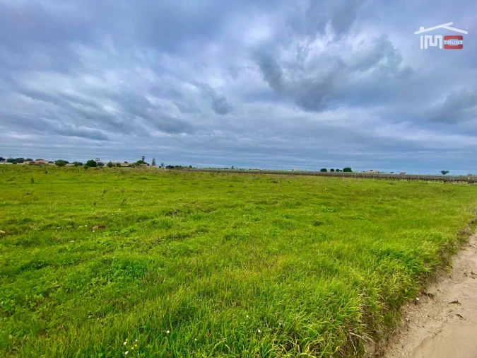 Terreno Agricola ou Rústico para Venda em Poceirão e Marateca Foto 12
