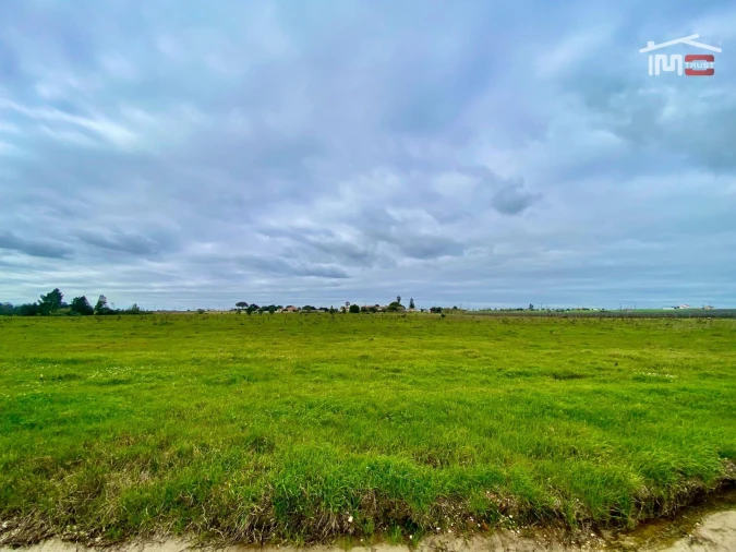 Terreno Agricola ou Rústico para Venda em Poceirão e Marateca Foto 18