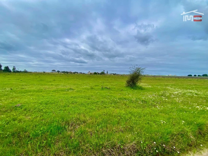 Terreno Agricola ou Rústico para Venda em Poceirão e Marateca Foto 21