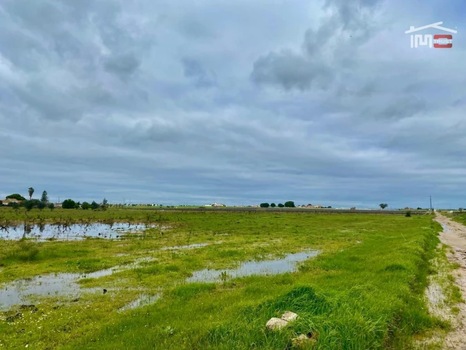 Terreno Agricola ou Rústico para Venda em Poceirão e Marateca Foto 28