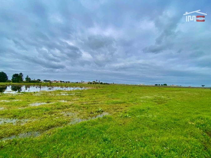 Terreno Agricola ou Rústico para Venda em Poceirão e Marateca Foto 36