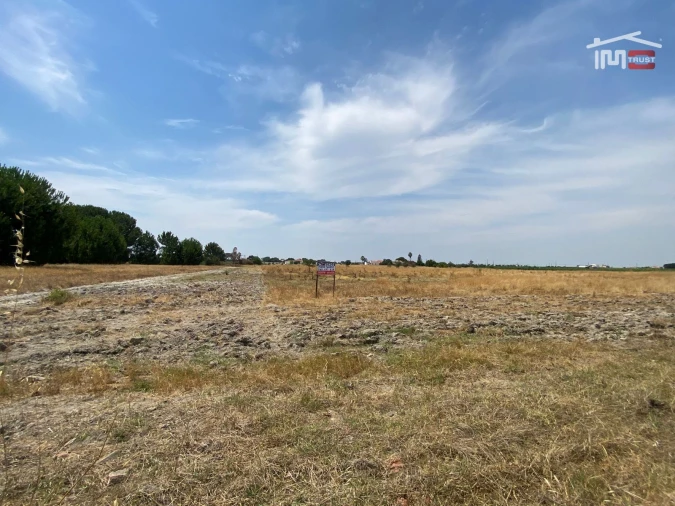 Terreno Agricola ou Rústico para Venda em Poceirão e Marateca Foto 3