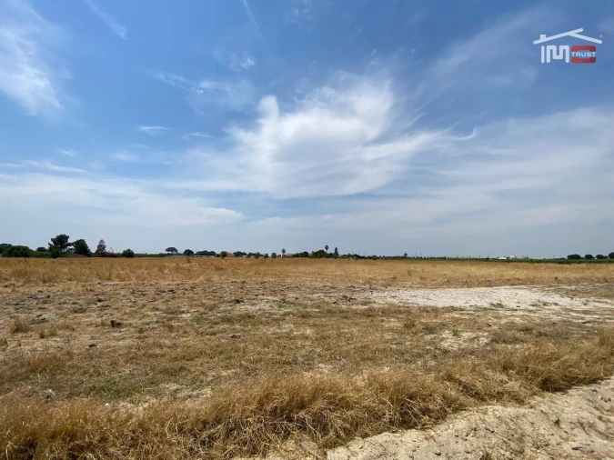 Terreno Agricola ou Rústico para Venda em Poceirão e Marateca Foto 16