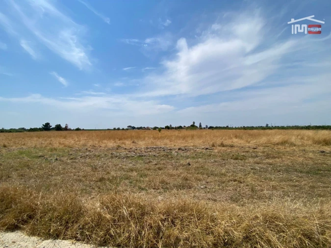 Terreno Agricola ou Rústico para Venda em Poceirão e Marateca Foto 24