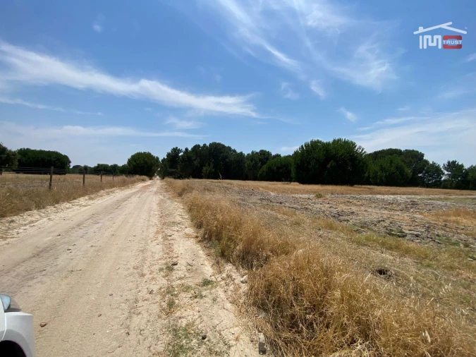 Terreno Agricola ou Rústico para Venda em Poceirão e Marateca Foto 33