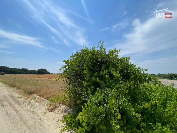 Terreno Agricola ou Rústico para Venda em Poceirão e Marateca Foto 35
