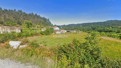 Negócio para Venda em Pico de Regalados, Gondiães e Mós