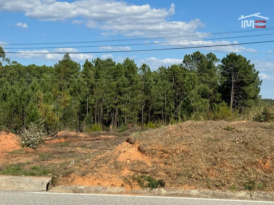 Terreno para Venda em Nossa Senhora da Piedade Foto 13