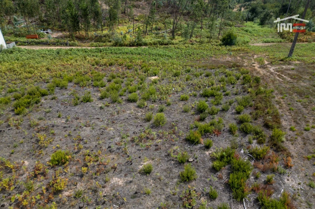 Terreno para Venda em Nossa Senhora da Piedade Foto 10