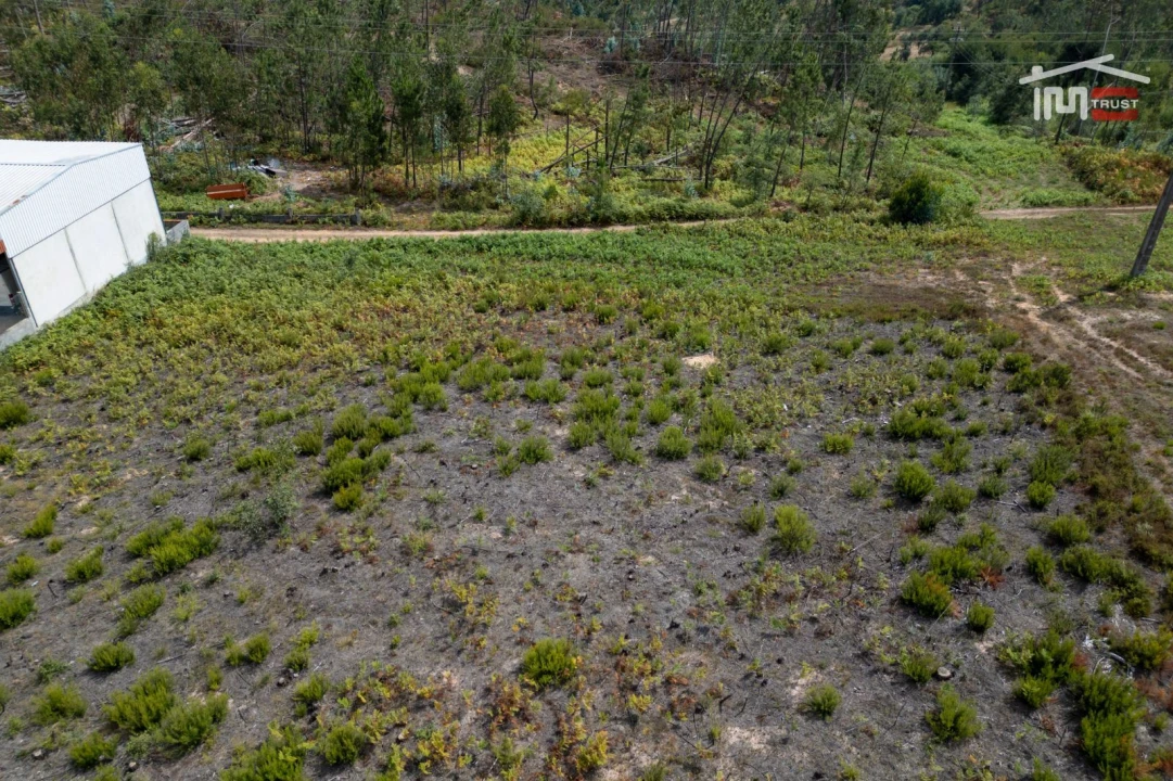Terreno para Venda em Nossa Senhora da Piedade Foto 11