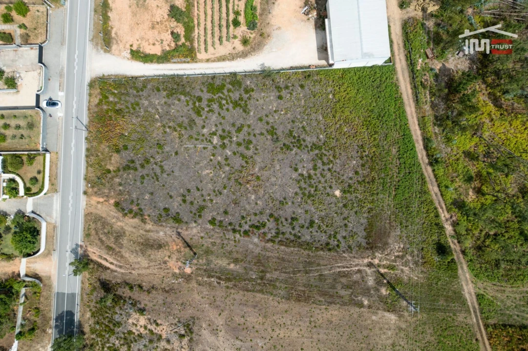 Terreno para Venda em Nossa Senhora da Piedade Foto 16