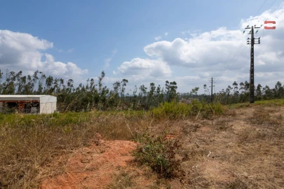 Terreno para Venda em Nossa Senhora da Piedade
