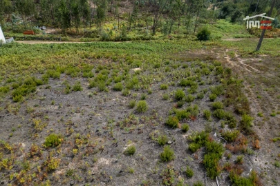 Terreno para Venda em Nossa Senhora da Piedade