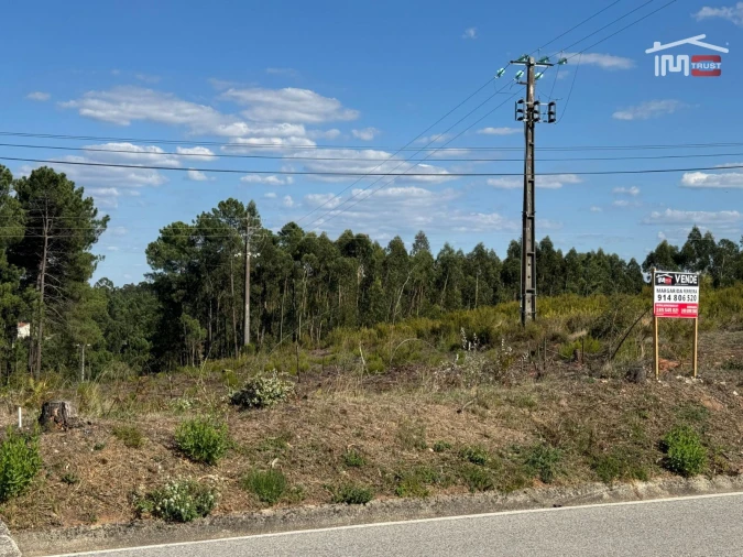 Terreno para Venda em Nossa Senhora da Piedade Foto 14