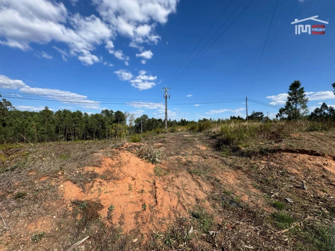 Terreno para Venda em Nossa Senhora da Piedade Foto 34