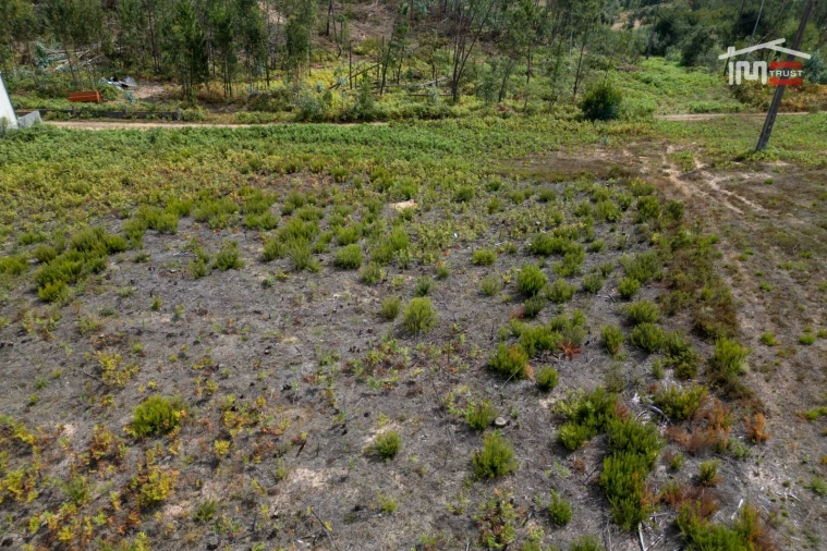 Terreno para Venda em Nossa Senhora da Piedade Foto 10