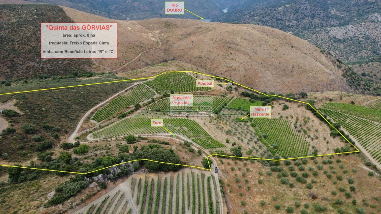 Quinta para Venda em Freixo de Espada a Cinta e Mazouco Foto 1
