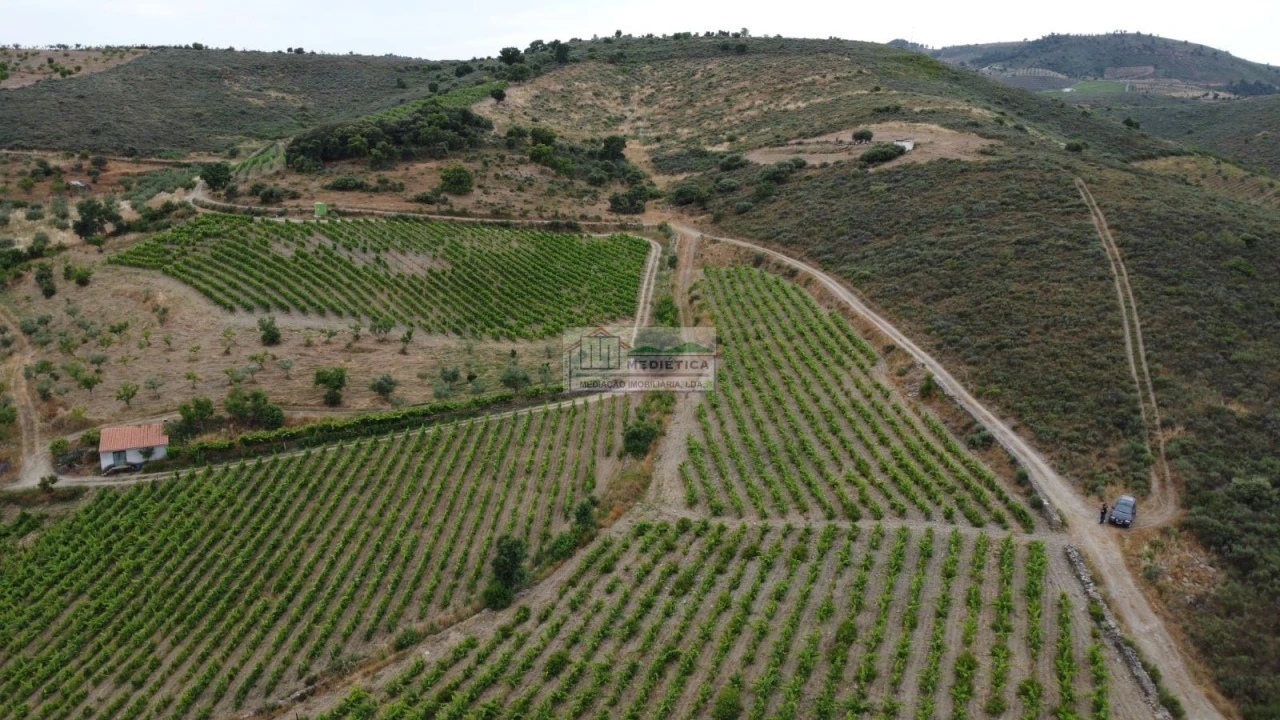 Quinta para Venda em Freixo de Espada a Cinta e Mazouco Foto 7