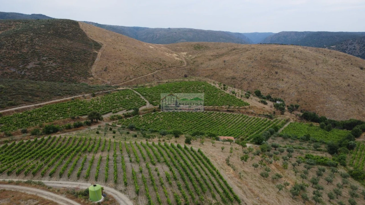 Quinta para Venda em Freixo de Espada a Cinta e Mazouco Foto 14