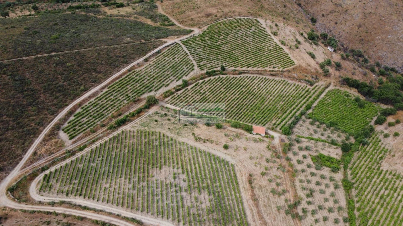 Quinta para Venda em Freixo de Espada a Cinta e Mazouco Foto 3