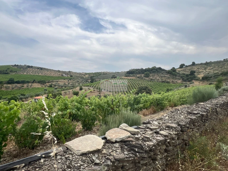 Quinta para Venda em Freixo de Espada a Cinta e Mazouco Foto 18