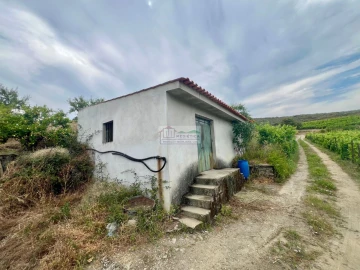 Quinta para Venda em Freixo de Espada a Cinta e Mazouco