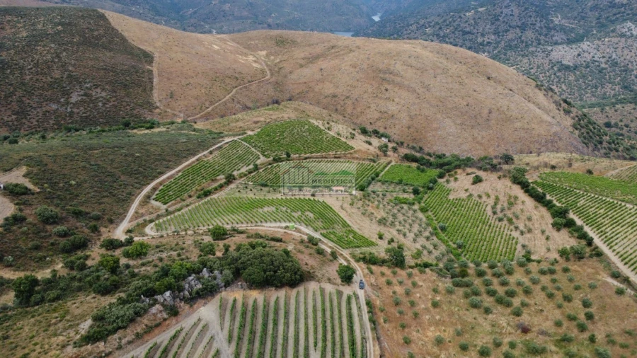 Quinta para Venda em Freixo de Espada a Cinta e Mazouco Foto 17