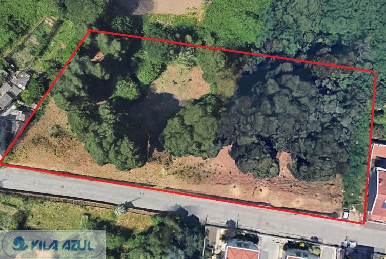 Terreno para Venda em Oliveira do Douro Foto 2