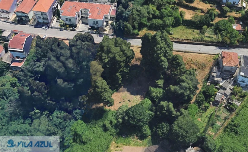 Terreno para Venda em Oliveira do Douro Foto 4