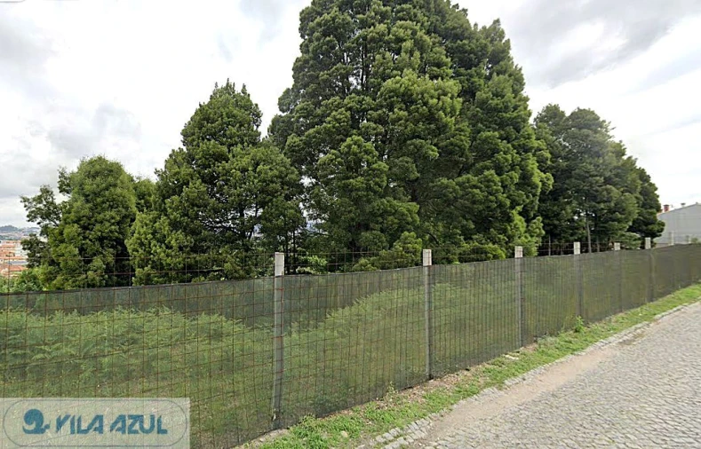 Terreno para Venda em Oliveira do Douro Foto 3