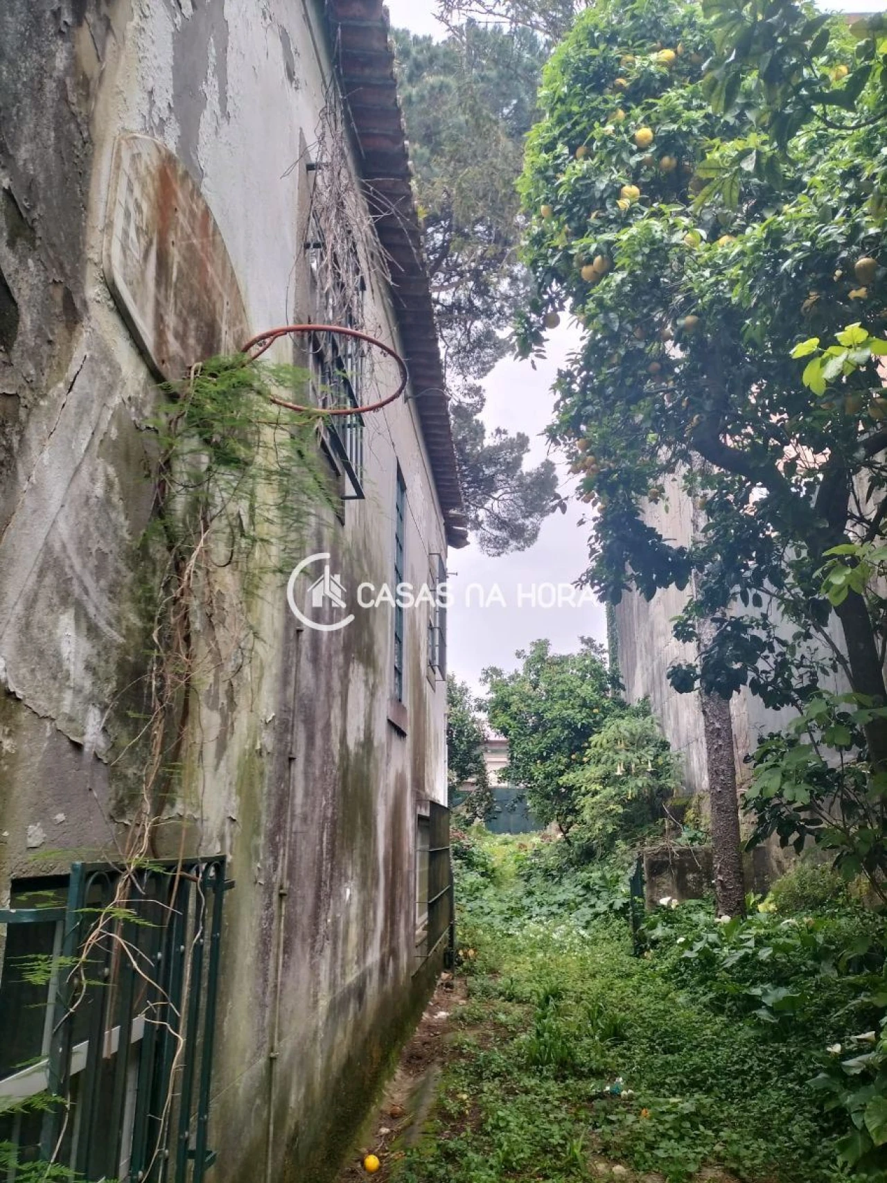 Terreno P/ Prédio para Venda em São Mamede de Infesta e Senhora da Hora Foto 5