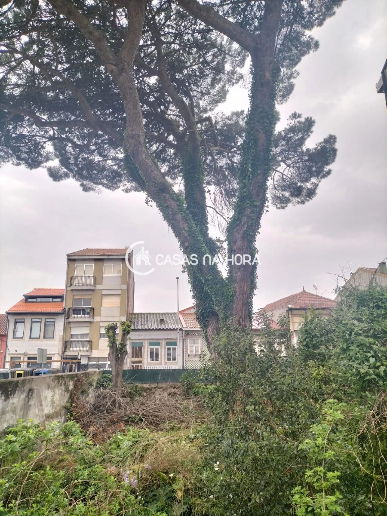 Terreno P/ Prédio para Venda em São Mamede de Infesta e Senhora da Hora Foto 7