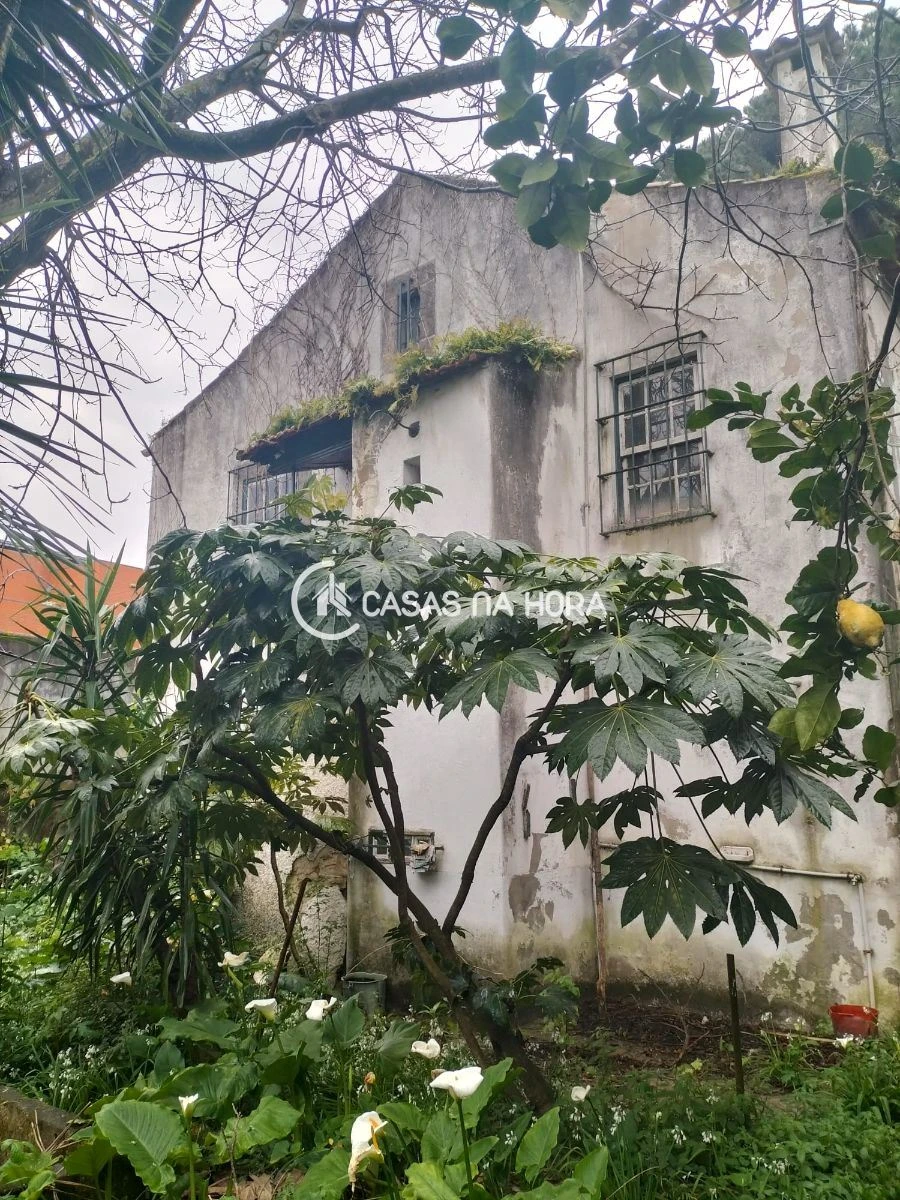 Terreno P/ Prédio para Venda em São Mamede de Infesta e Senhora da Hora Foto 3
