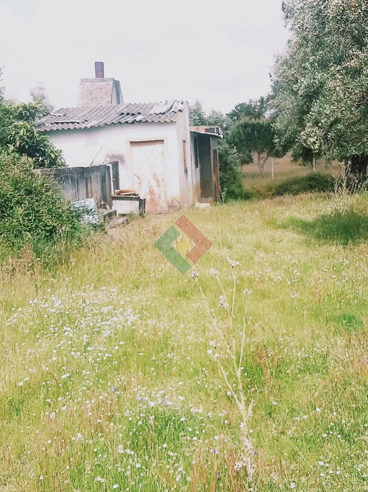 Terreno Agricola ou Rústico para Venda em Foros de Arrão Foto 24