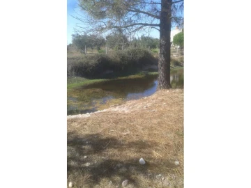 Terreno Agricola ou Rústico para Venda em Foros de Arrão