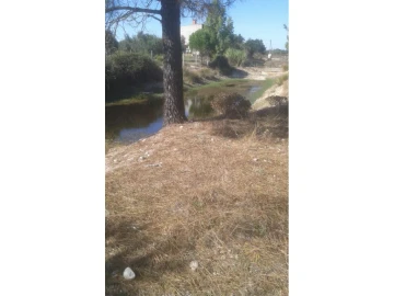 Terreno Agricola ou Rústico para Venda em Foros de Arrão