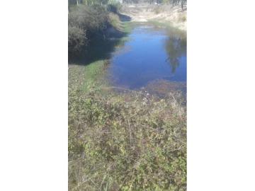 Terreno Agricola ou Rústico para Venda em Foros de Arrão